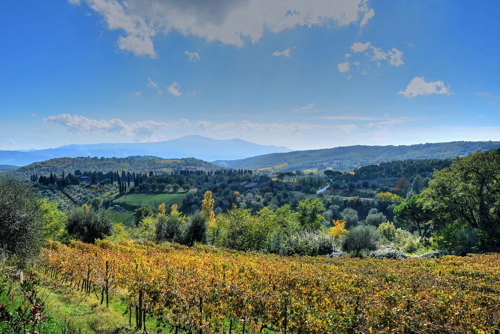 Agriturismo Fraschetta Montalcino Eksteriør bilde