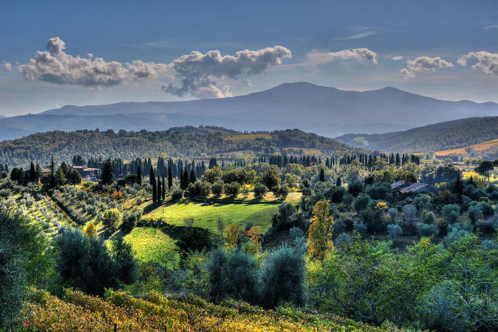 Agriturismo Fraschetta Montalcino Eksteriør bilde